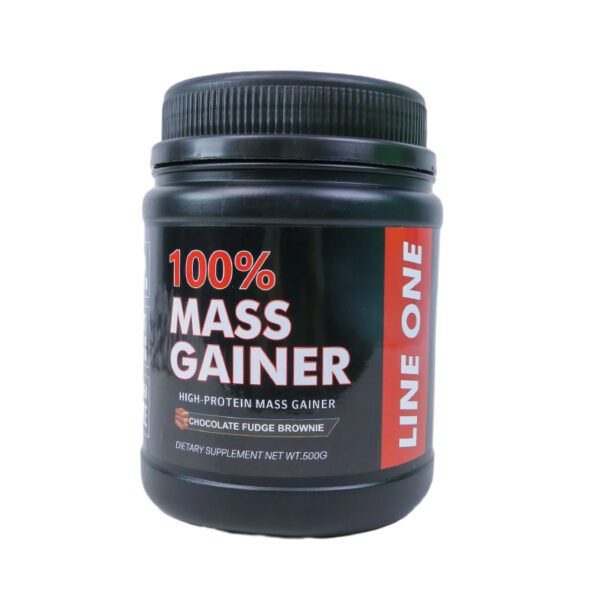 High-Protein Mass Gainer Powder