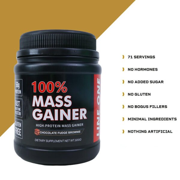 High-Protein Mass Gainer Powder